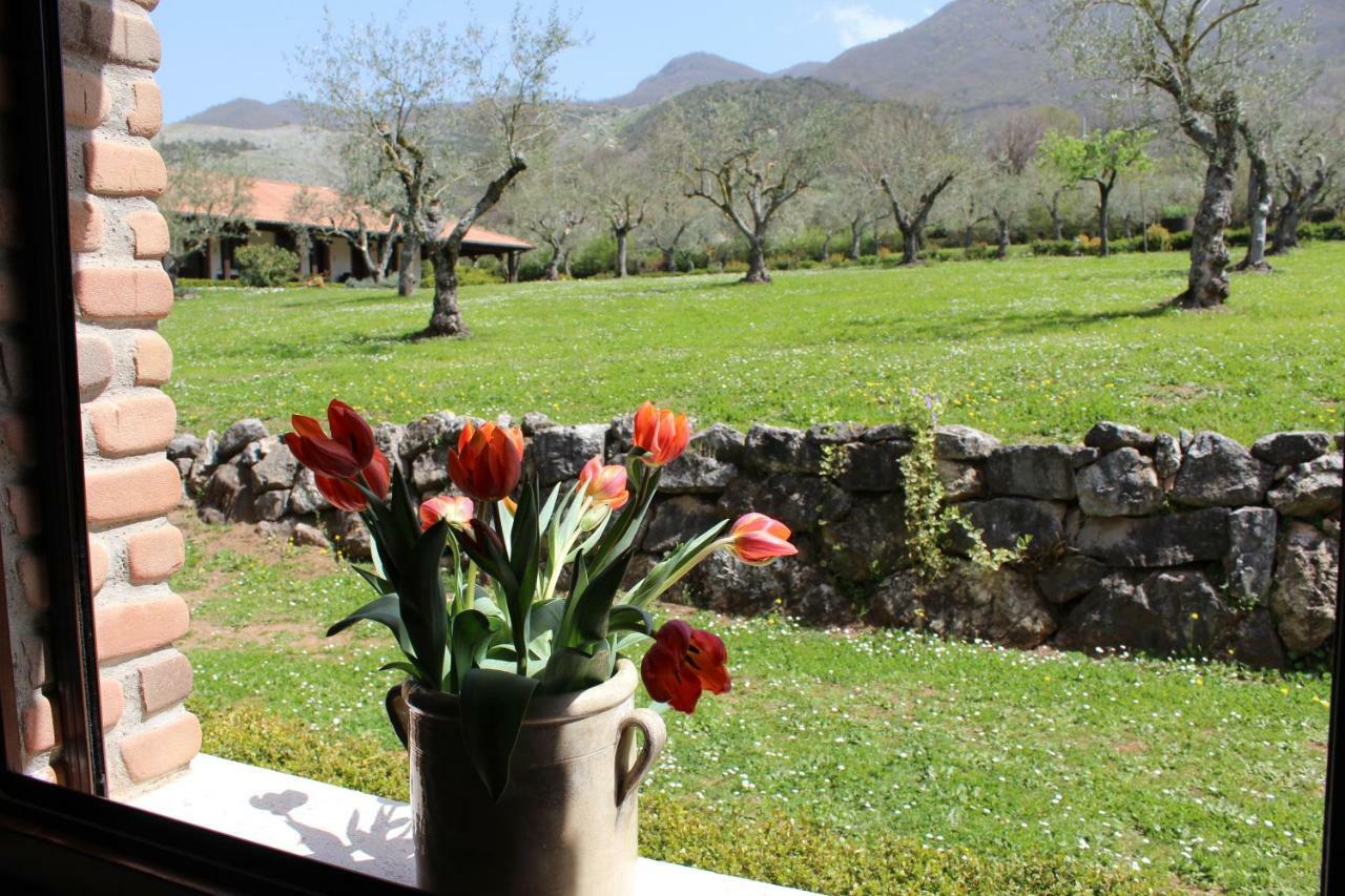 Agriturismo Il Castagneto ปาดูลา ภายนอก รูปภาพ